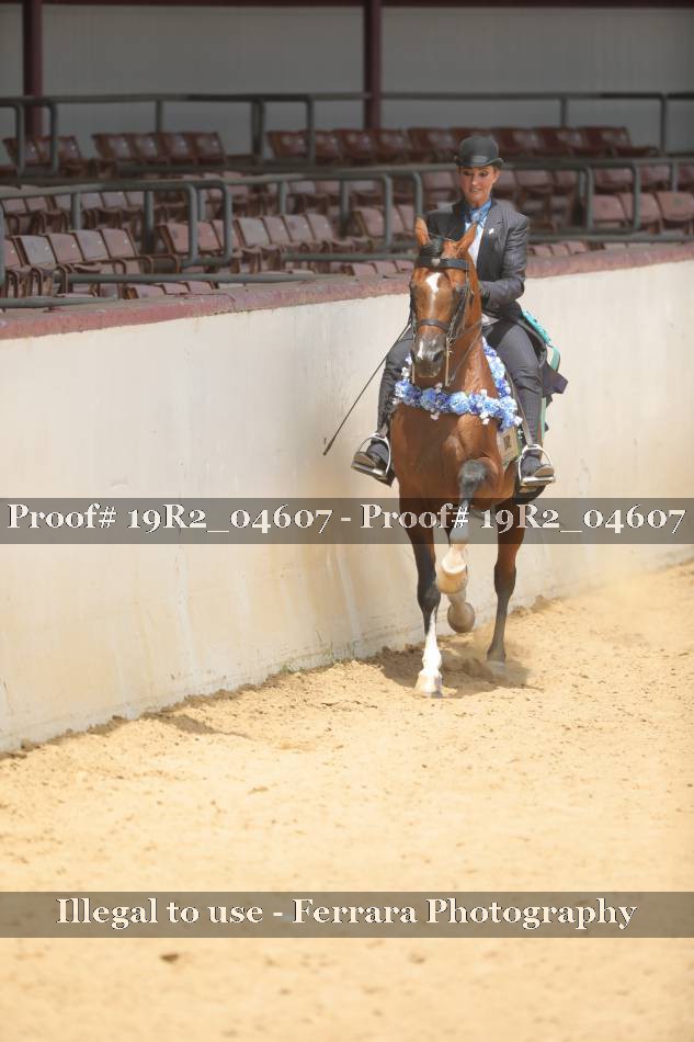 Proof 19R2_04607