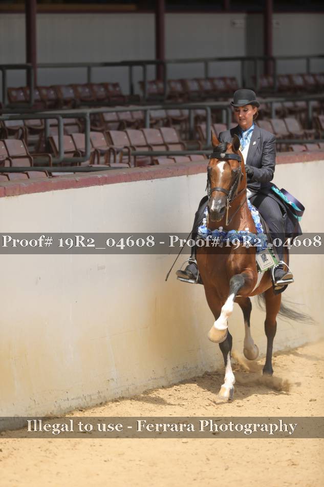 Proof 19R2_04608