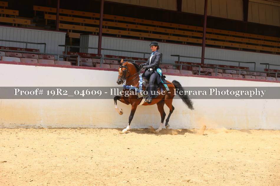 Proof 19R2_04609