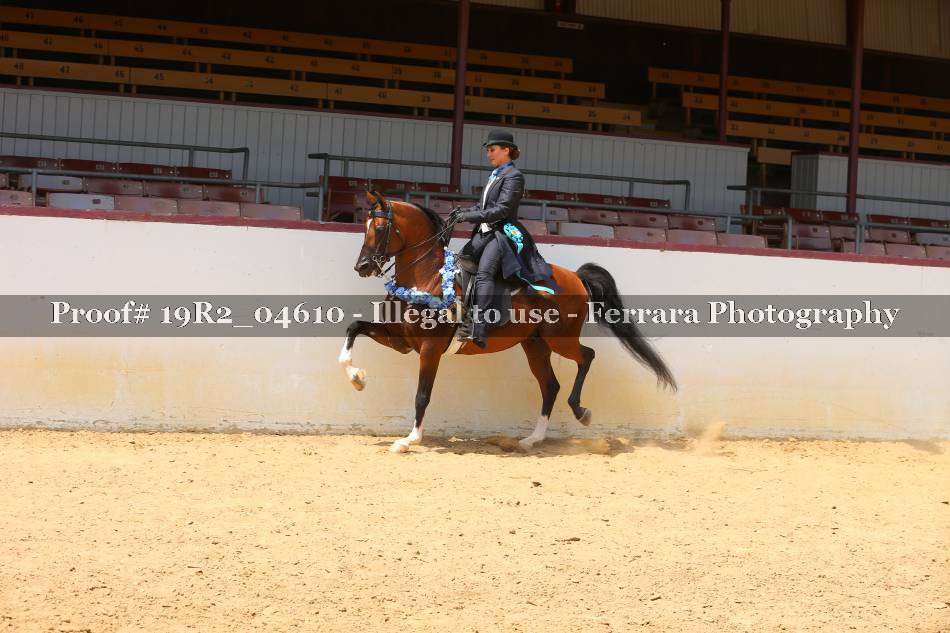 Proof 19R2_04610