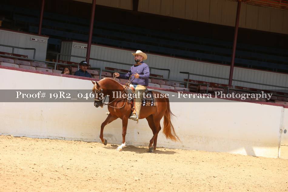 Proof 19R2_04613