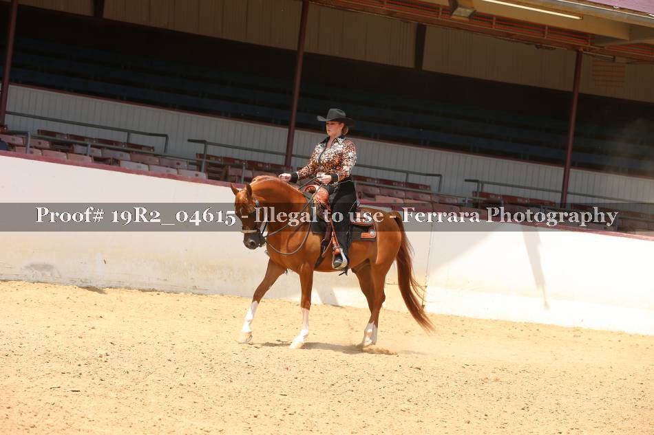Proof 19R2_04615