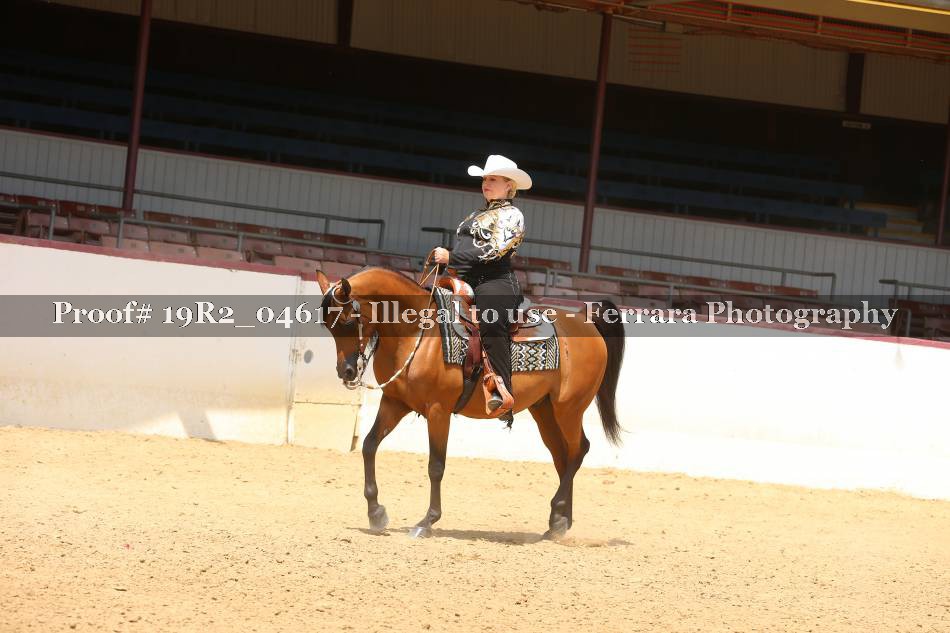 Proof 19R2_04617