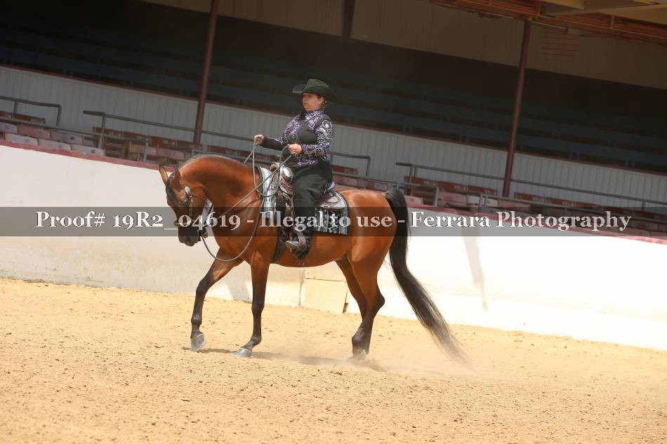 Proof 19R2_04619
