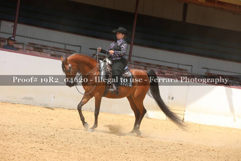 Proof 19R2_04620