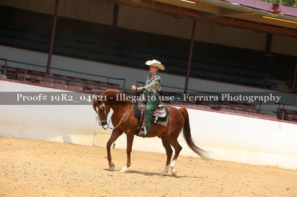 Proof 19R2_04621