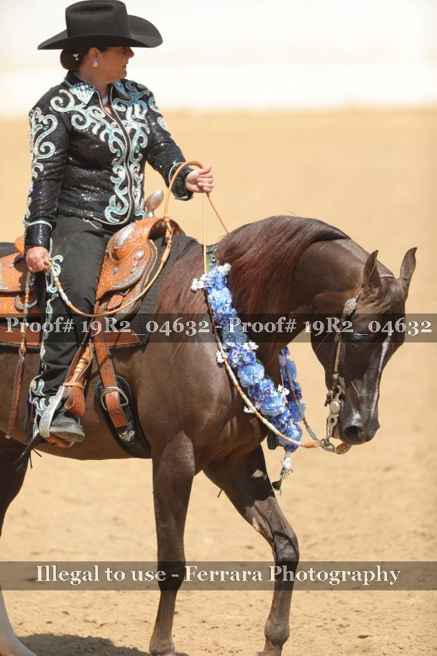 Proof 19R2_04632