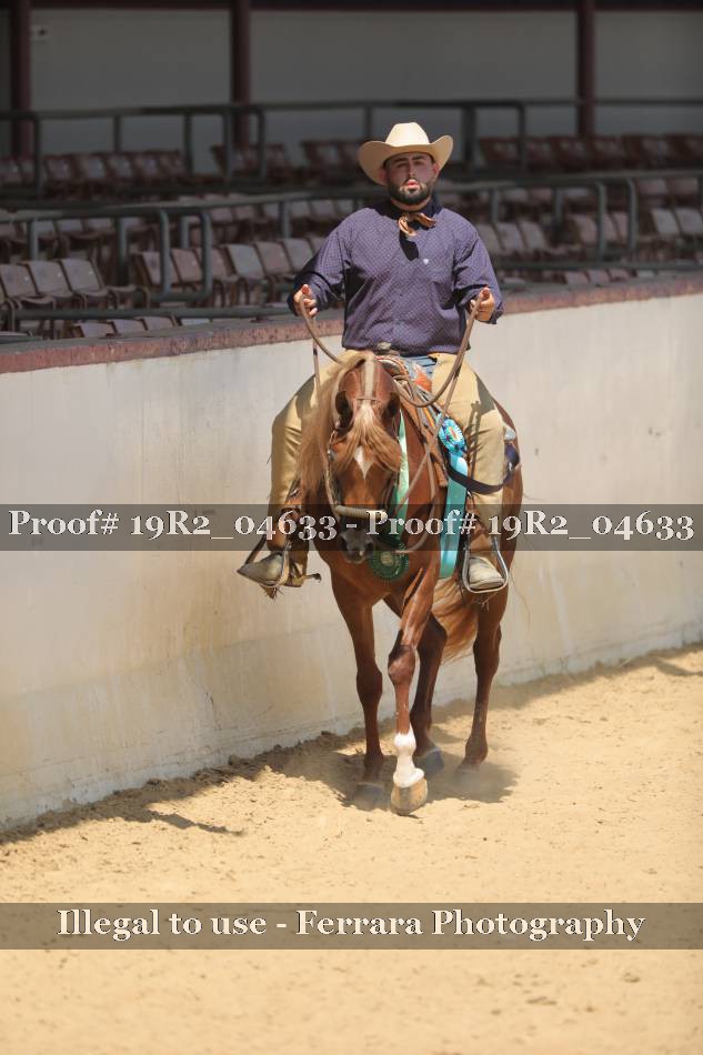 Proof 19R2_04633