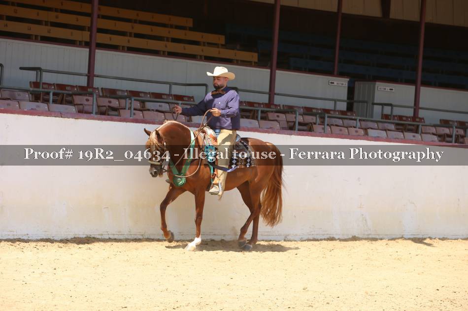 Proof 19R2_04634