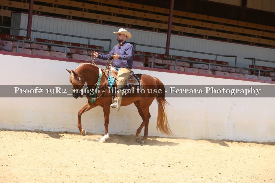 Proof 19R2_04636