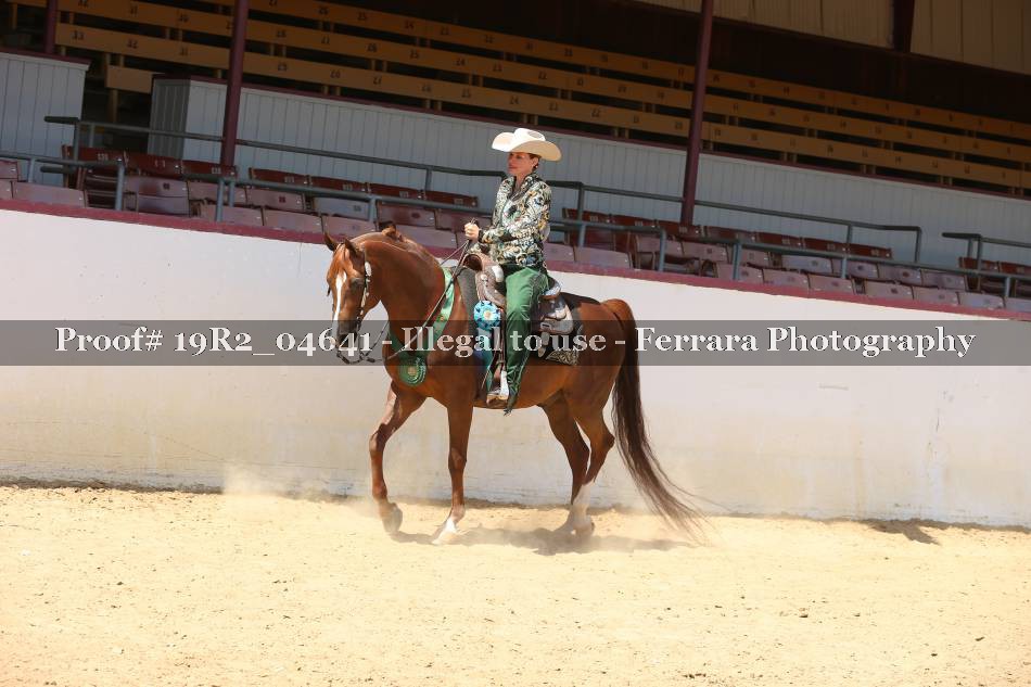 Proof 19R2_04641