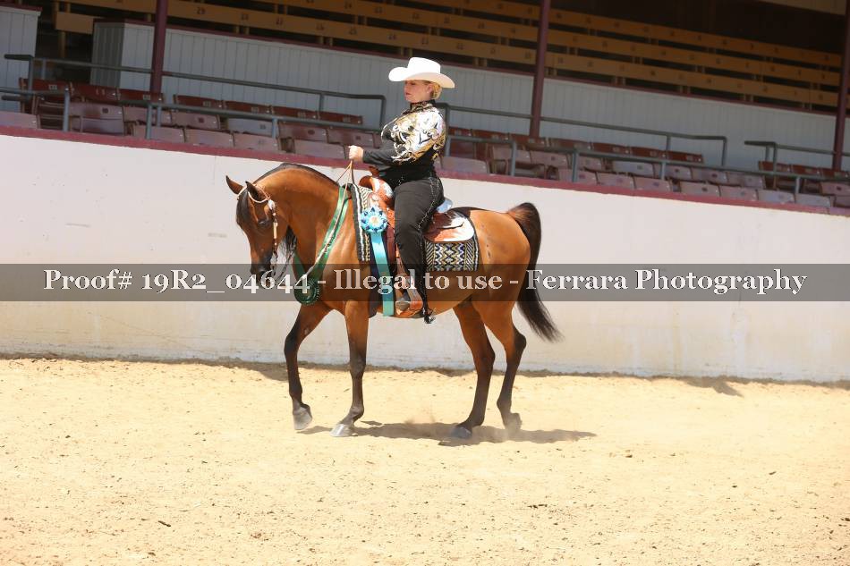 Proof 19R2_04644