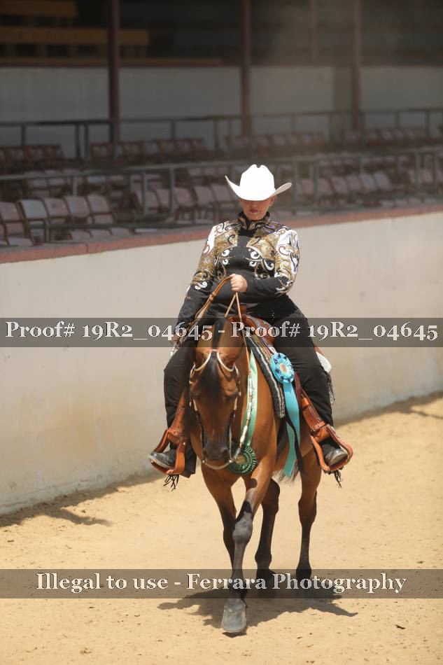 Proof 19R2_04645