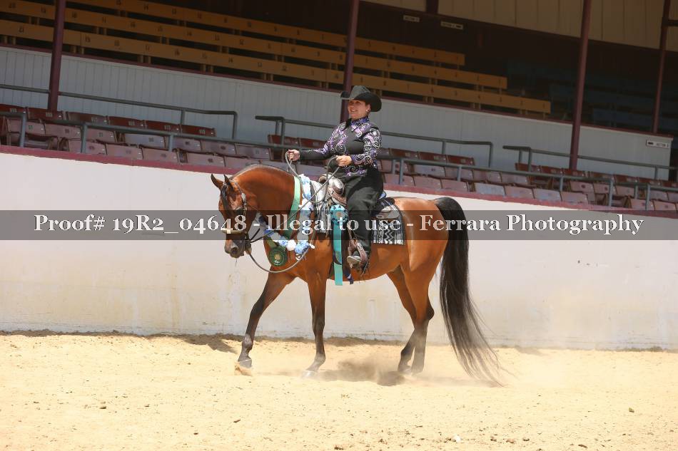 Proof 19R2_04648