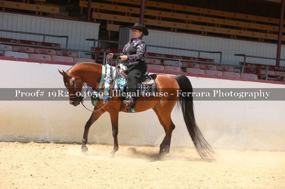 Proof 19R2_04650