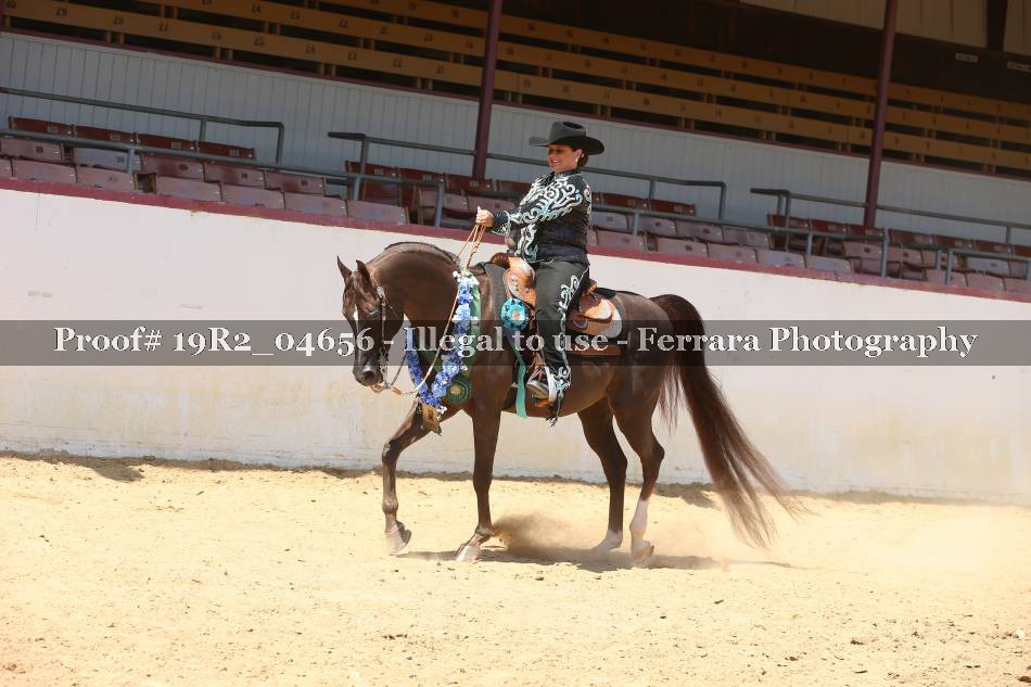 Proof 19R2_04656