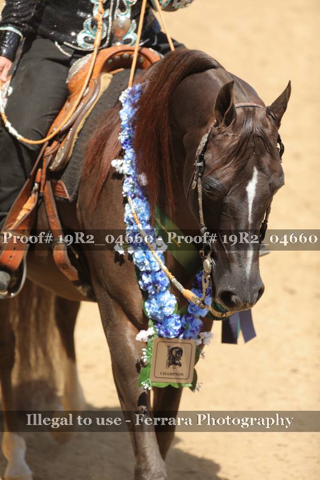 Proof 19R2_04660