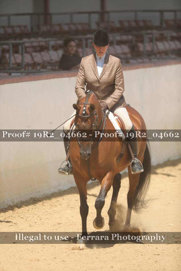 Proof 19R2_04662