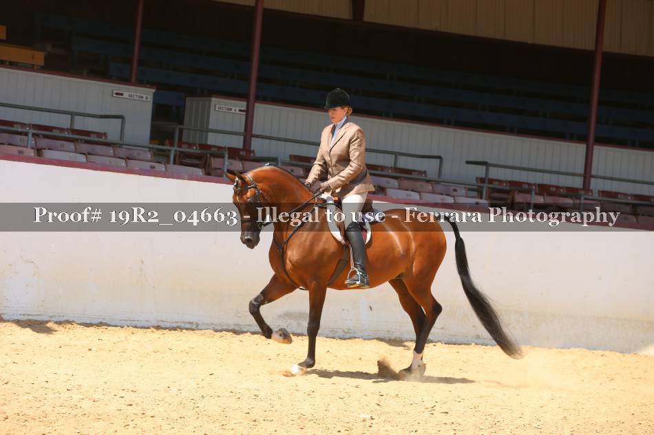 Proof 19R2_04663