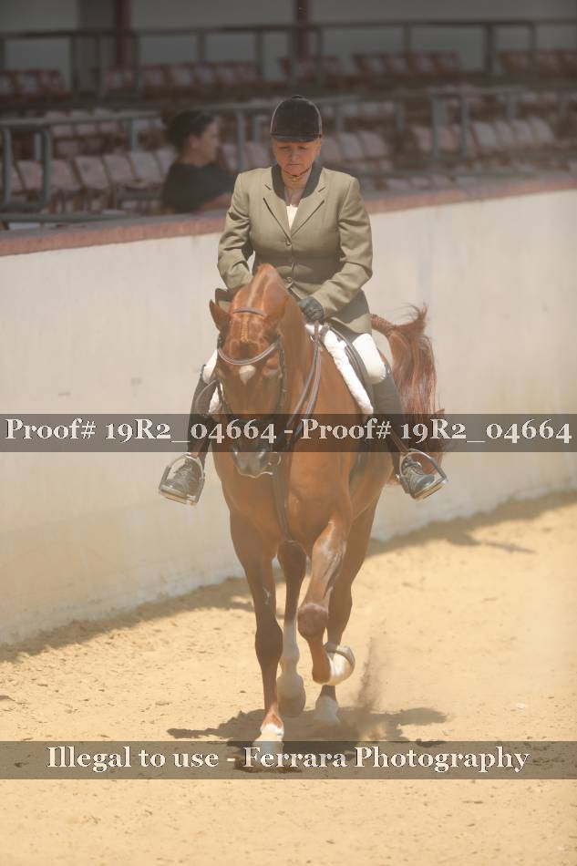 Proof 19R2_04664