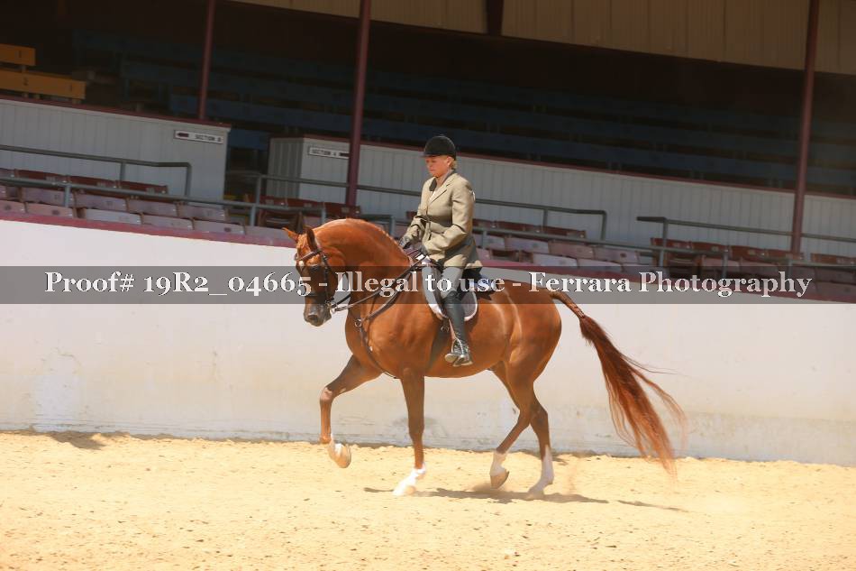 Proof 19R2_04665