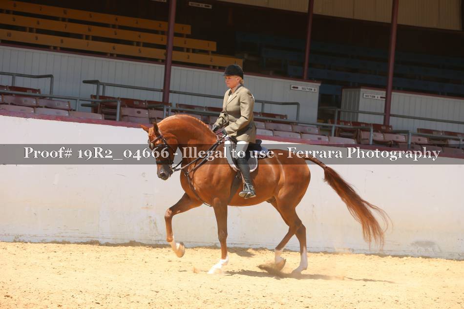 Proof 19R2_04666