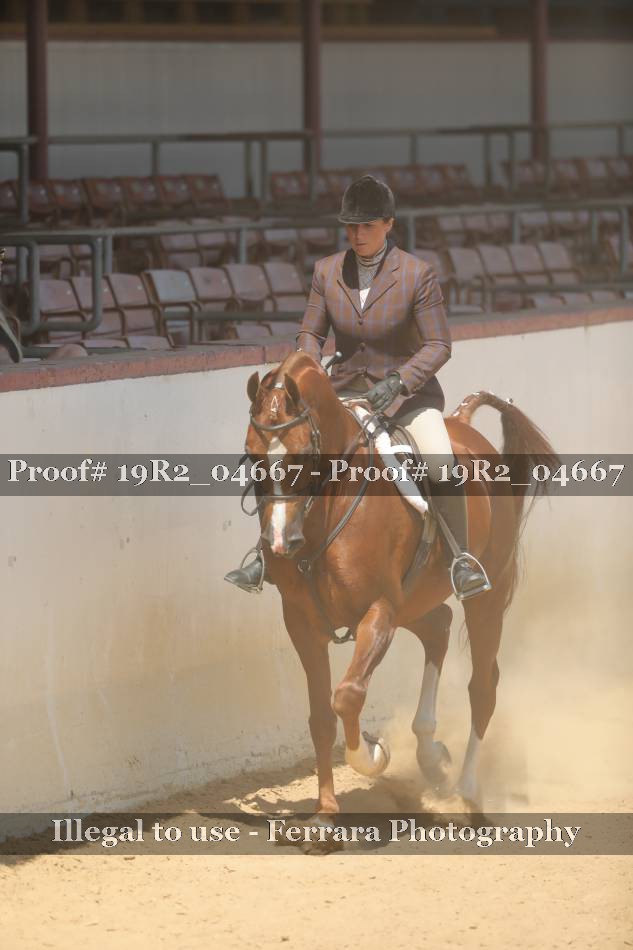Proof 19R2_04667
