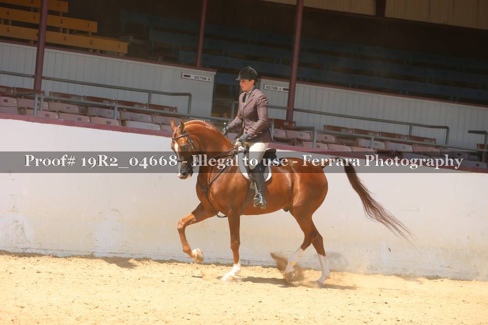Proof 19R2_04668