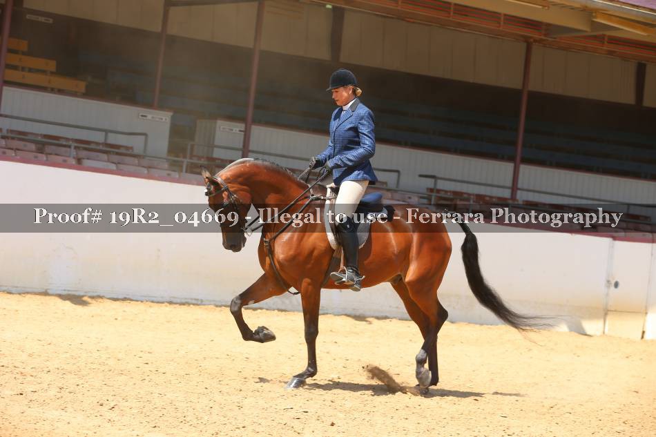 Proof 19R2_04669
