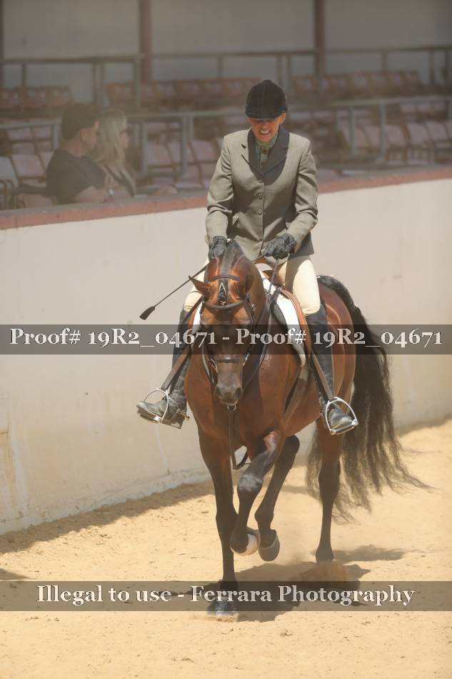 Proof 19R2_04671