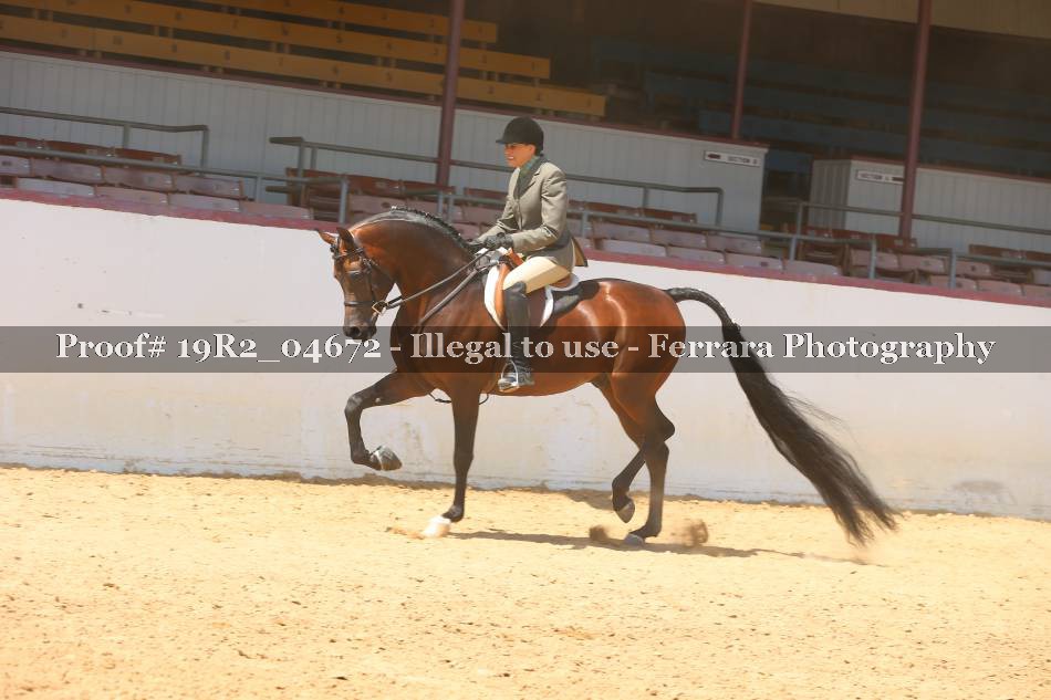 Proof 19R2_04672