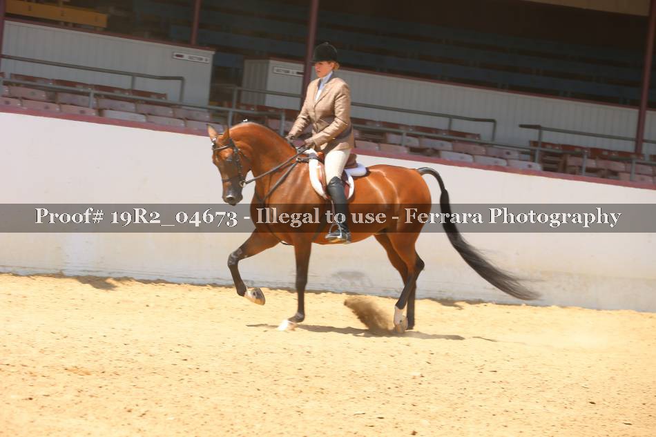 Proof 19R2_04673