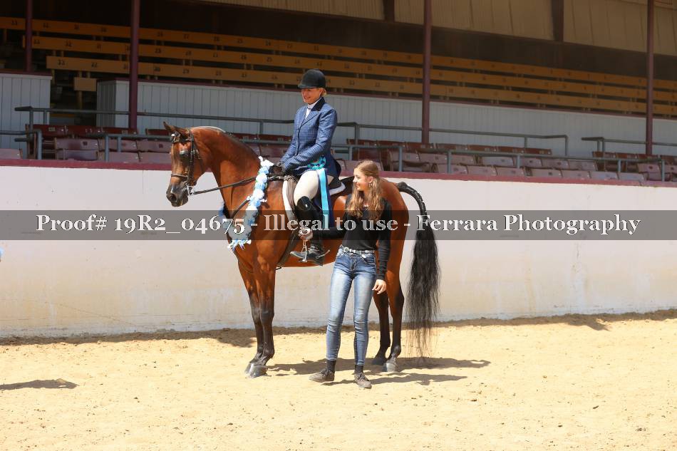 Proof 19R2_04675