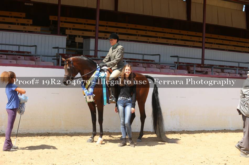 Proof 19R2_04679