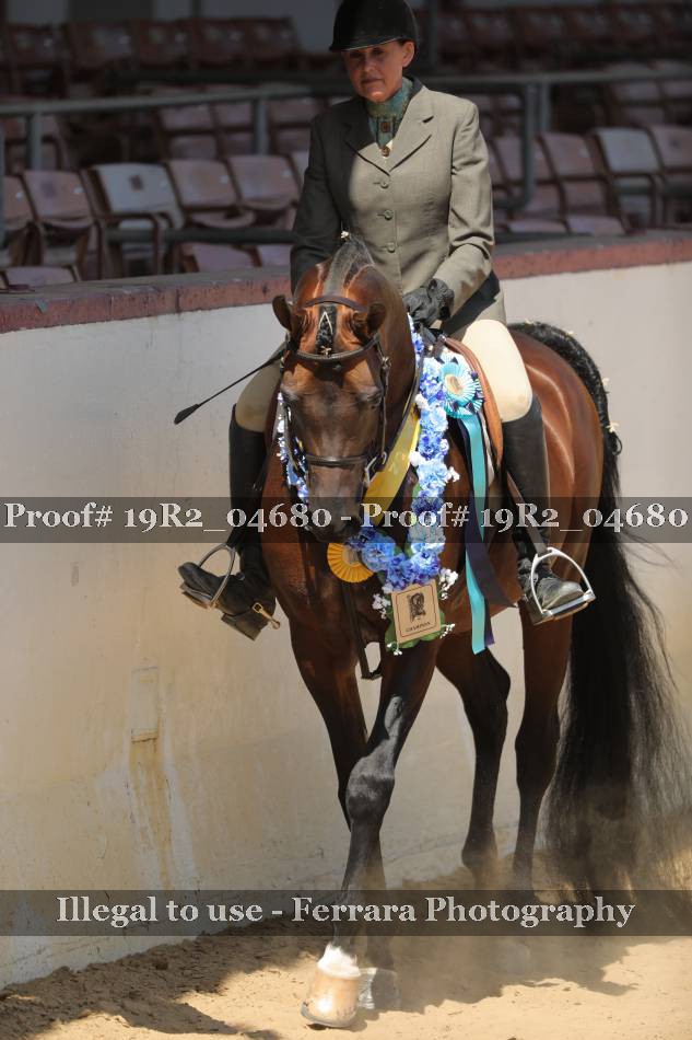 Proof 19R2_04680