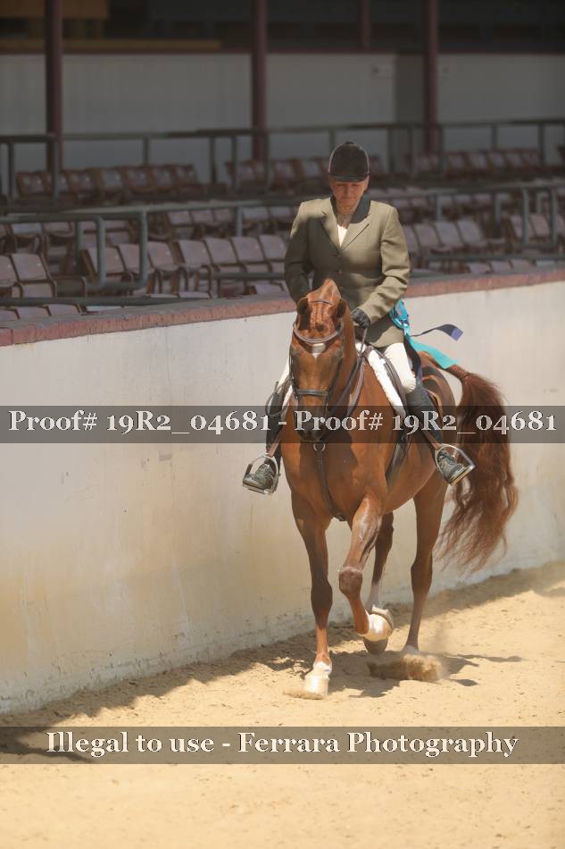Proof 19R2_04681