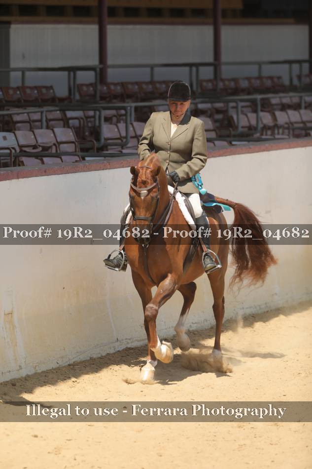 Proof 19R2_04682