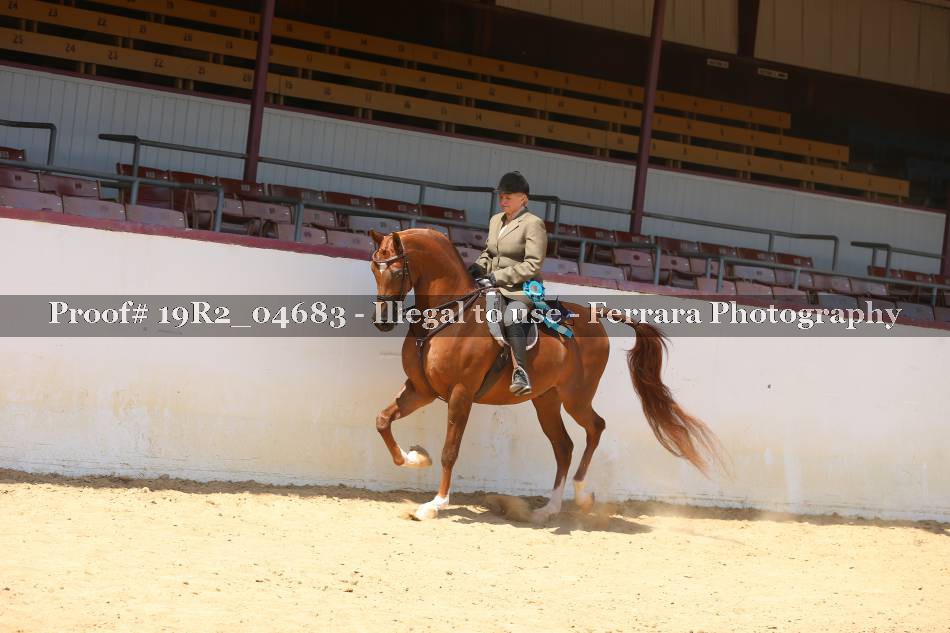 Proof 19R2_04683