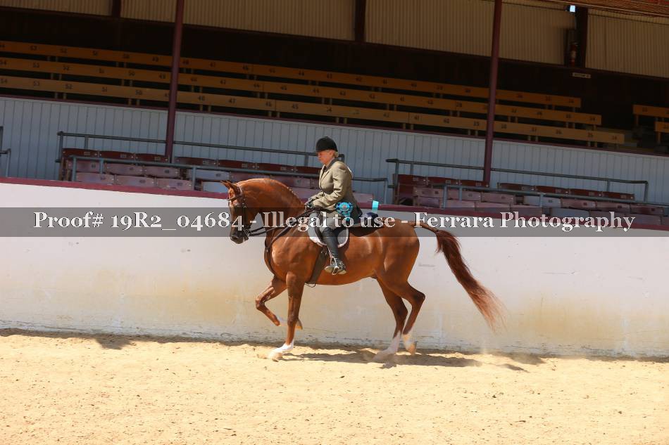 Proof 19R2_04684