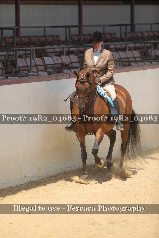 Proof 19R2_04685