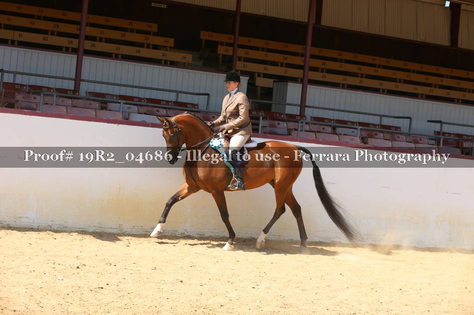 Proof 19R2_04686