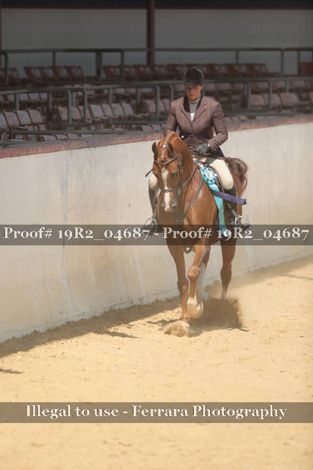 Proof 19R2_04687