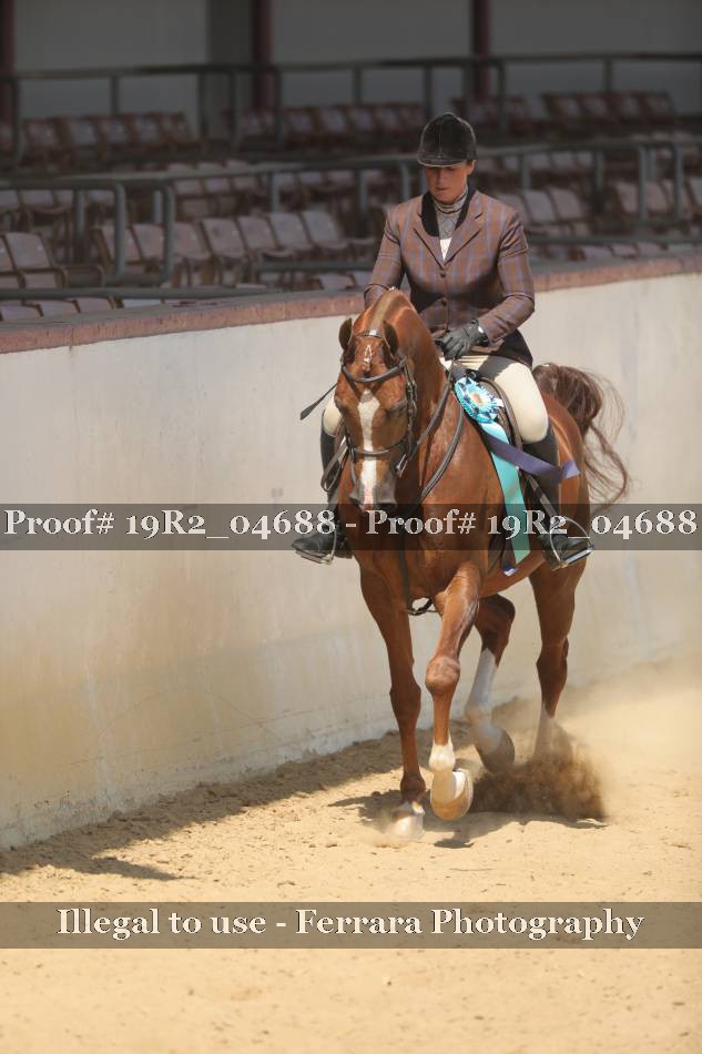 Proof 19R2_04688