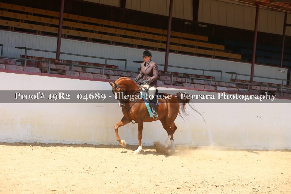 Proof 19R2_04689