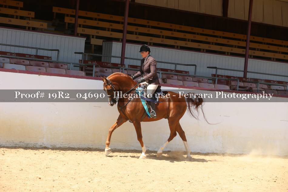 Proof 19R2_04690
