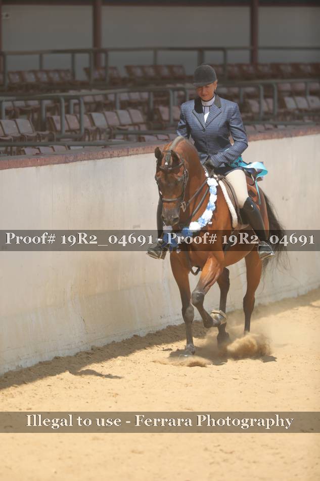 Proof 19R2_04691