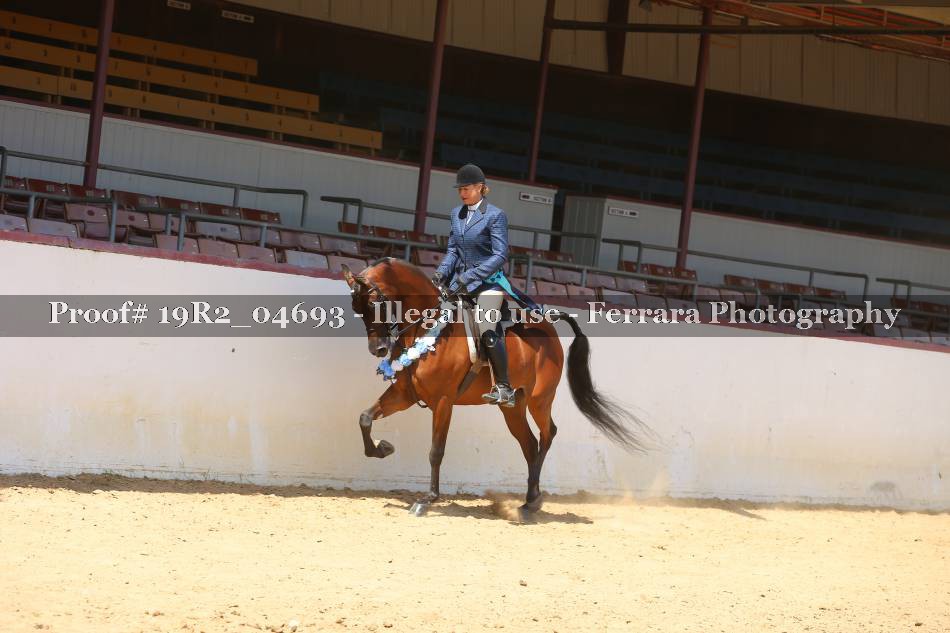 Proof 19R2_04693
