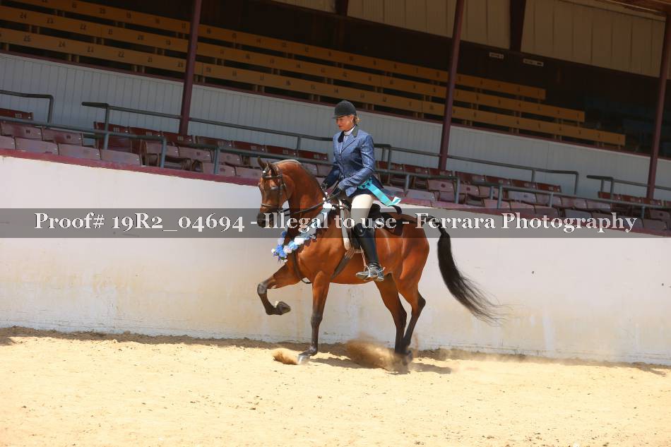 Proof 19R2_04694