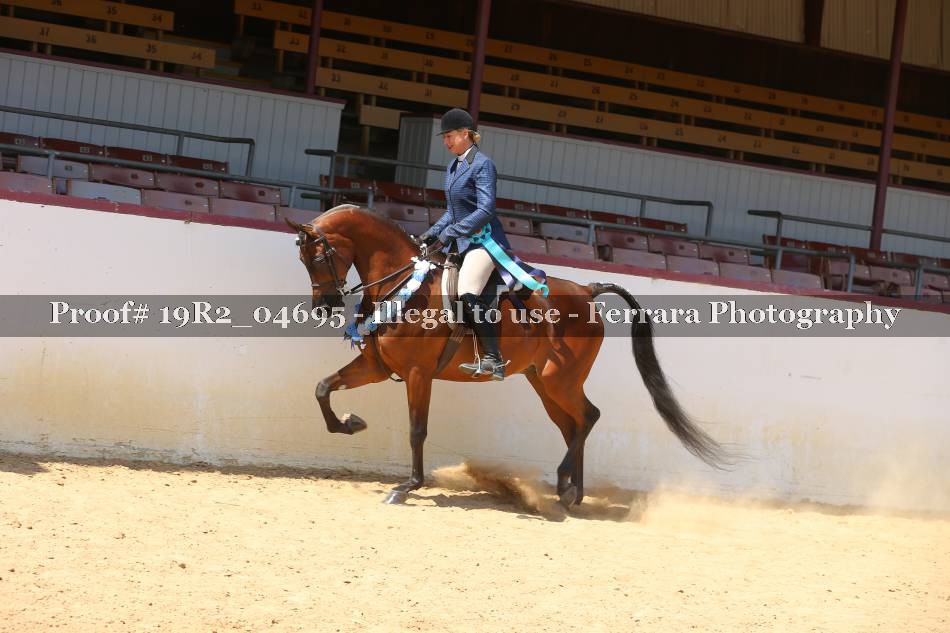 Proof 19R2_04695