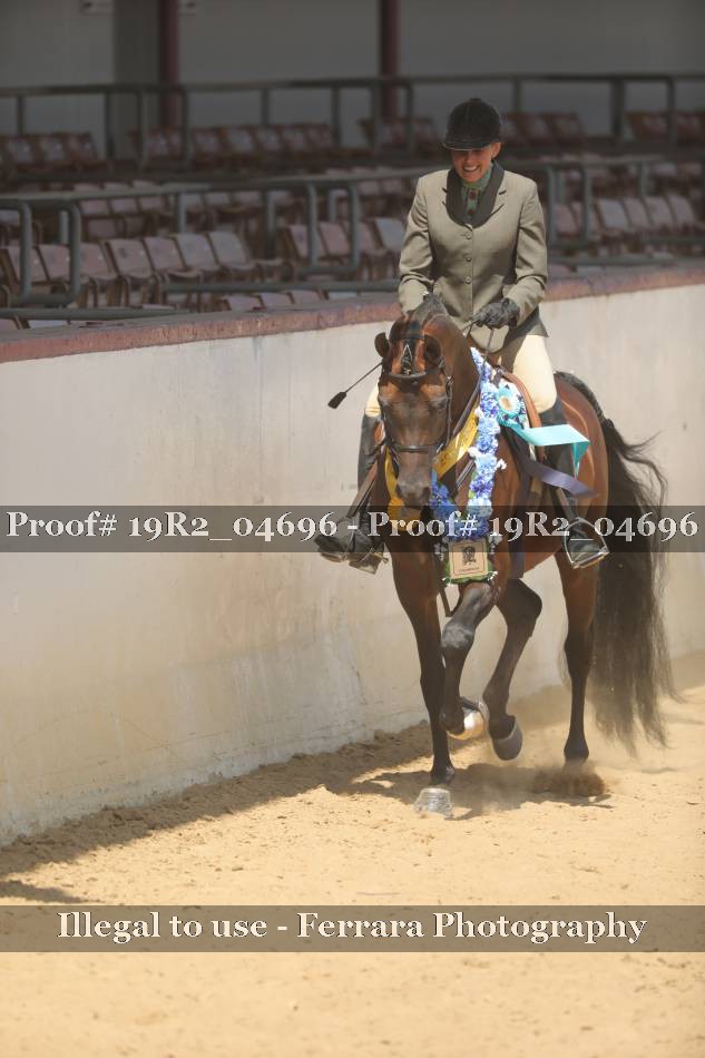 Proof 19R2_04696
